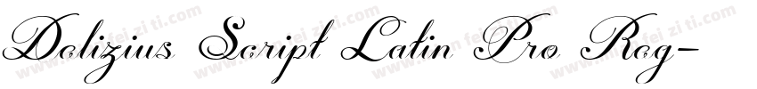 Delizius Script Latin Pro Reg字体转换